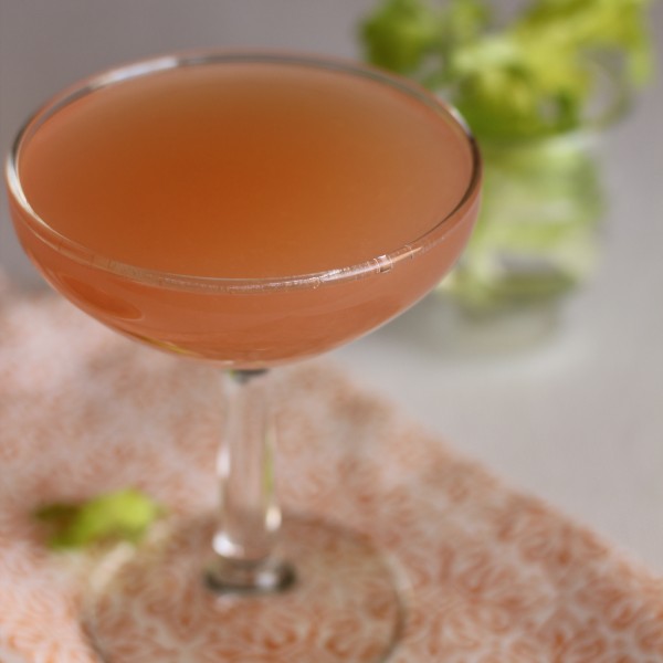Grapefruit and Gin Martini